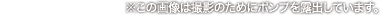 ※この画像は撮影のためにポンプを露出しています。